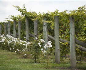 Lambert Vineyards Cellar Door - Redcliffe Tourism 2
