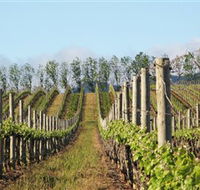 Philip Shaw Wines - Redcliffe Tourism