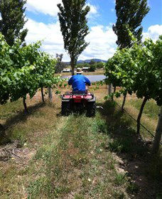 Heifer Station - Redcliffe Tourism 2