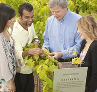 Jacob's Creek Vineyard Tour - Redcliffe Tourism