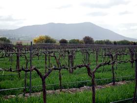 Remarkable View Wines - Redcliffe Tourism 1