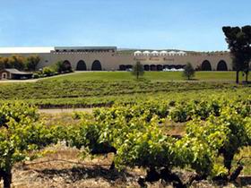 Taylors Wines - Redcliffe Tourism 0