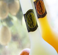 Ambra Limoncello - Redcliffe Tourism