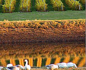 Pipers Brook TAS Redcliffe Tourism