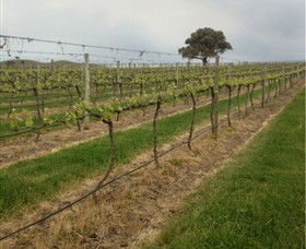 Indigo Vineyard - Redcliffe Tourism 1