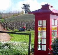 Dalrymple Vineyards - Redcliffe Tourism