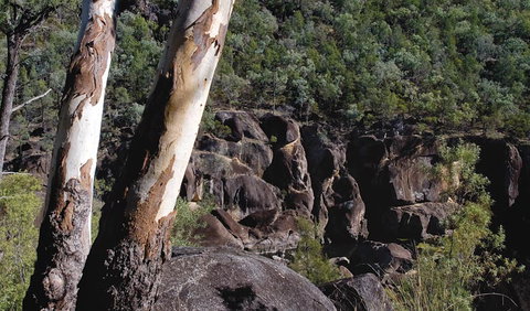Macintyre Falls Lookout - Redcliffe Tourism 3