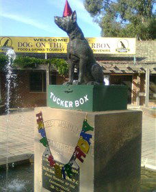The Dog On The Tucker Box - Redcliffe Tourism 1