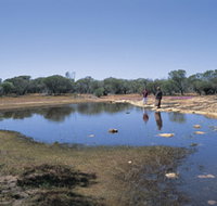Camel Soak - Redcliffe Tourism