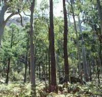 Cathedral Range State Park - Redcliffe Tourism