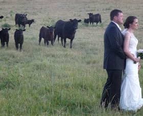 Athol Gardens - Redcliffe Tourism 2