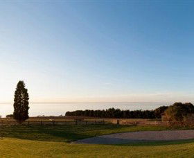 Jack Rabbit Vineyard - Redcliffe Tourism 3