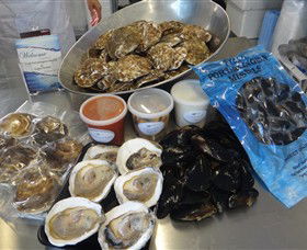 Advance Mussel Supply - Redcliffe Tourism 0
