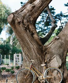 Kiltynane Wines - Redcliffe Tourism 8