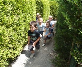 Hedgend Maze And Healesville Laser Sport - Redcliffe Tourism 1