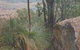 Mount Lawson State Park - thumb 0