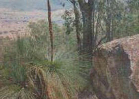 Mount Lawson State Park - Redcliffe Tourism 0