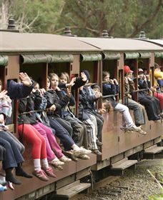 Puffing Billy Steam Railway - Redcliffe Tourism 1