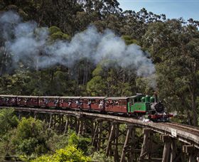 Puffing Billy Steam Railway - Redcliffe Tourism 0