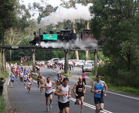 Puffing Billy Steam Railway - Redcliffe Tourism 7
