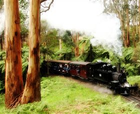 Puffing Billy Steam Railway - Redcliffe Tourism 5