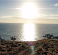 Southend Curtis Island - Redcliffe Tourism