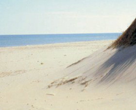 Lilley's Beach - Redcliffe Tourism 2