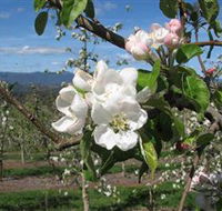 Mouat's Farm - Redcliffe Tourism