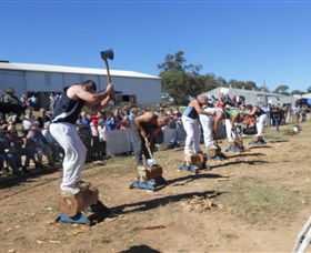 Quirindi Rural Heritage Village - Redcliffe Tourism 1