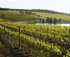 Yabby Lake Vineyard & Cellar Door - Redcliffe Tourism 7