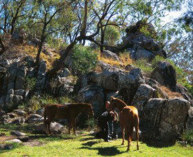 Coomba Falls - Redcliffe Tourism 0