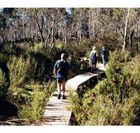 Hume and Hovell Walking Track - Henry Angel Trackhead - Redcliffe Tourism