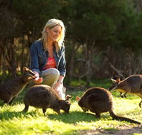 Moonlit Sanctuary Wildlife Conservation Park - Redcliffe Tourism