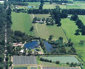 Ten Minutes By Tractor - Redcliffe Tourism 2