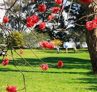 The Yass Golf Club - Redcliffe Tourism