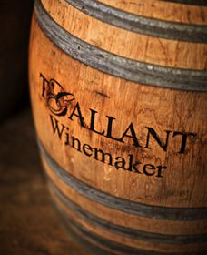 T'Gallant Winemakers - Redcliffe Tourism 0