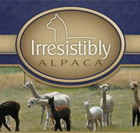 Marchmont Park Alpacas - Redcliffe Tourism