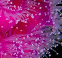 Yaringa Marine National Park - Redcliffe Tourism