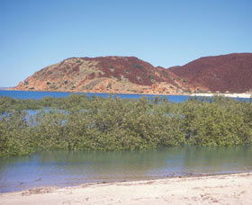 Hearsons Cove - Redcliffe Tourism 0