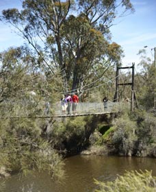 Avon Park - Redcliffe Tourism 0