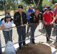 Fossil Rock - Redcliffe Tourism