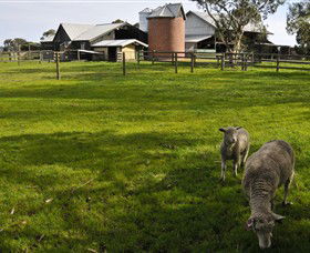 Warrook Farm - Redcliffe Tourism 4