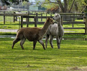Warrook Farm - Redcliffe Tourism 6