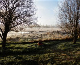 Jannei Artisan Cheese Makers - Redcliffe Tourism 2