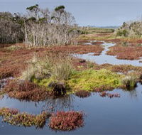 French Island National Park - Redcliffe Tourism