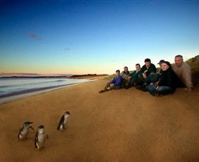 Phillip Island Nature Parks - Redcliffe Tourism 7