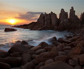 Phillip Island Nature Parks - Redcliffe Tourism 6