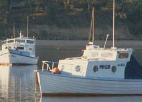 Western Port - Redcliffe Tourism 0