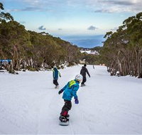 Mt Baw Baw Alpine Resort - Redcliffe Tourism