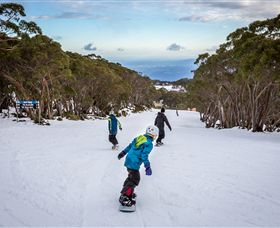 Mt Baw Baw Alpine Resort - Redcliffe Tourism 0